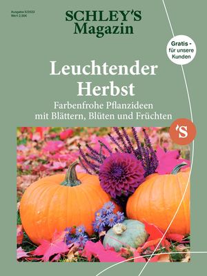 Mein Paradies GARTEN 5/2022 Schley BoGeVe