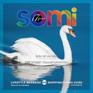 Somi Xvii Fall '22 Online 2