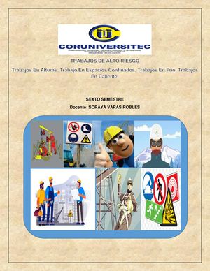 Cartilla De Trabajos De Alto Riesgo
