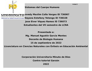 Final Cuadro Comparativo Del Sistema Circulatorio Y Linfático
