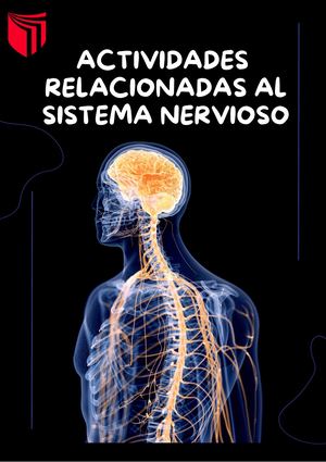 Actividades Del Sistema Nervioso