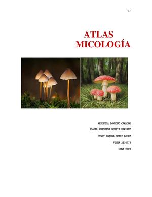 Micologia Atlas 1