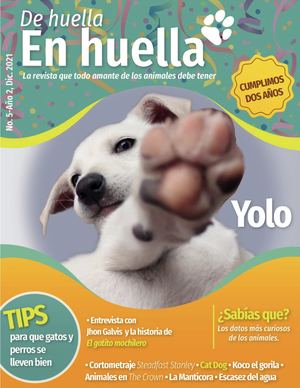 Abril Yolo - No.1 año 2