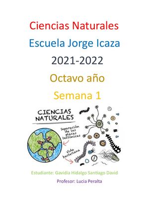 Caratula De Ciencias Naturales