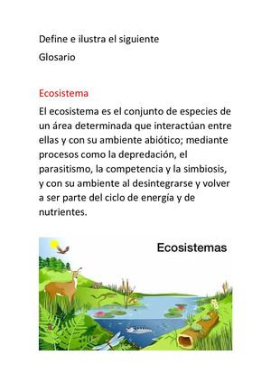 definición de términos en biología