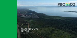SUSTAINABILITY REPORT PRONICO 2020