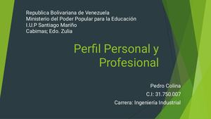 Perfil Personal Y Profesional
