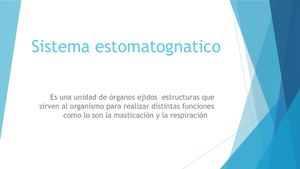 Sistema Estomatognatico