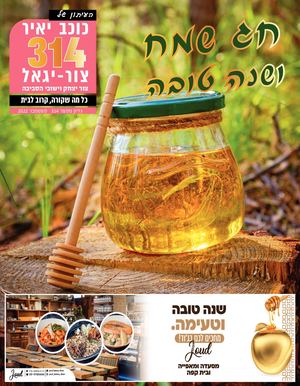 עיתון כוכב יאיר צור יגאל גליון 314 - חלק 1