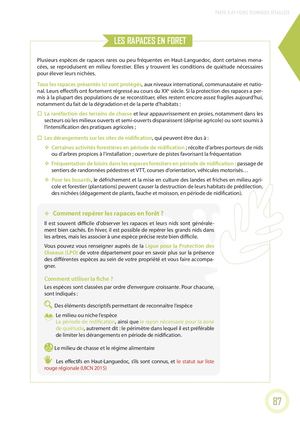 Rapaces en foret - Fiche Technique