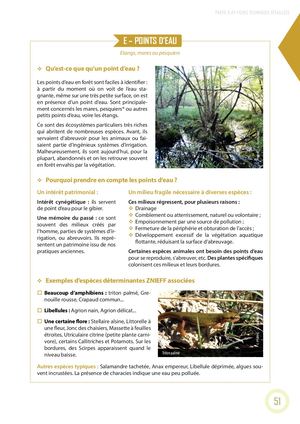 Points D'eau - Fiche Technique