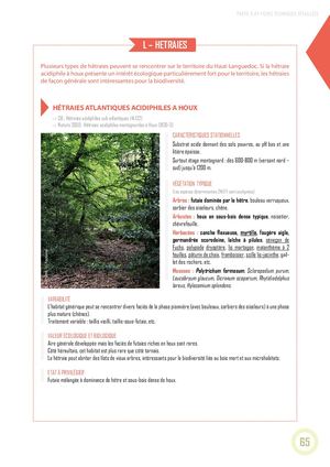 Hêtraies - Fiche Technique