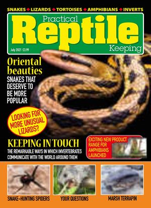 Practical Reptile Keeping July2021 Compressed