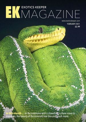 Utf 8exotics Keeper 02 2021 Downmagaz Net Compressed