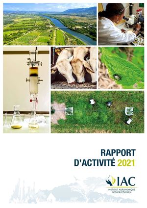 Rapport d'Activité 2021