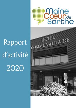 Rapport d'activité 2020
