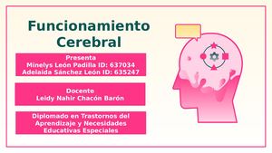 Maqueta Cerebro