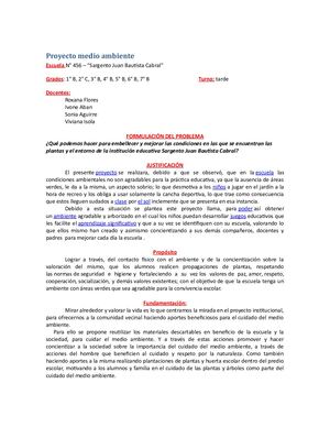 Proyecto Medio Ambiente 3