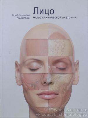 Лицо Атлас клинической анатомии ч1