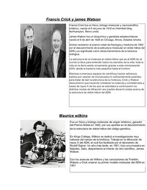 Descubrimiento Del Adn