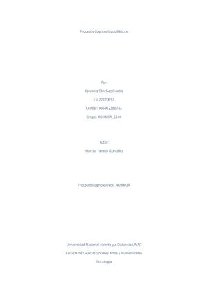 Procesos Cognoscitivos Basicos (2)