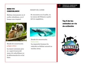 Recursos Naturales