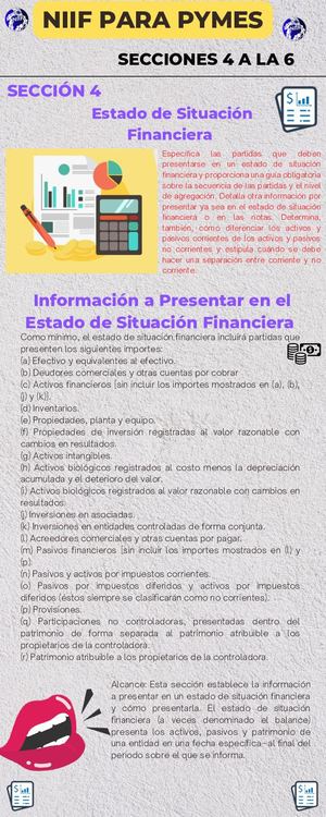 Niif Para Pymes (Secciones 4 A La 6)