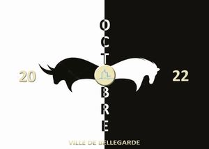 Guide Festivités Ok 12 09