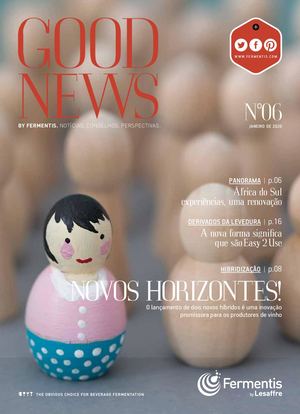 Goodnews #06 - 2020 - PORTUGUESE