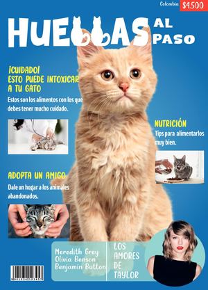 REVISTA HUELLAS AL PASO LAURA ACEVEDO