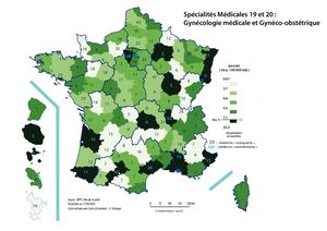 C14 Besoins De Gynéco