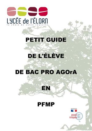 Petit guide de l'élève en PFMP