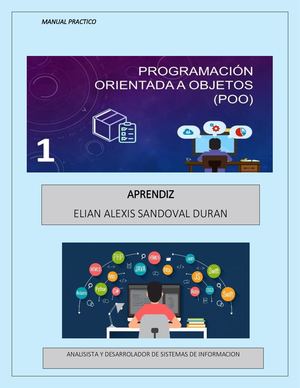 (Manual practico) POO