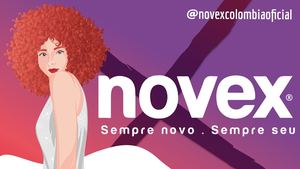 Portafolio Novex