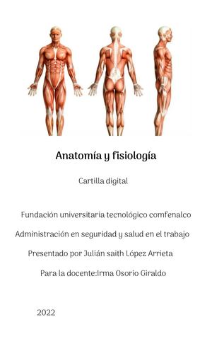 Anatomía Y Fisiología