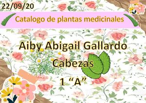 Catálogo De Plantas Medicinales EPT
