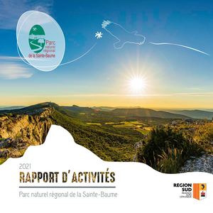 Rapport d'activités 2021