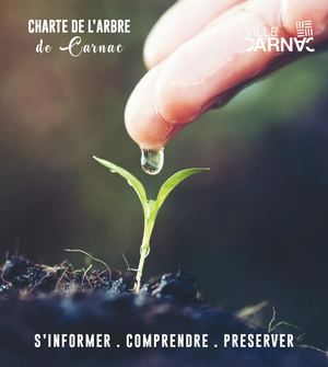 Charte de l'Arbre
