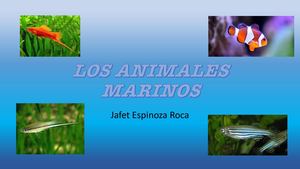 LOS ANIMALES MARINOS