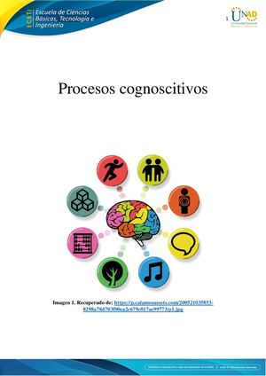 Procesos cognoscitivos