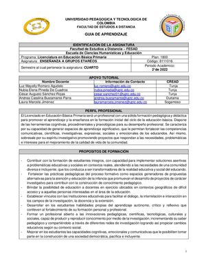 8111016 Enseñanza Agrupos Etarios (2 2022)