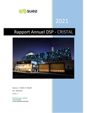 Rapport DSP CRISTAL 2021