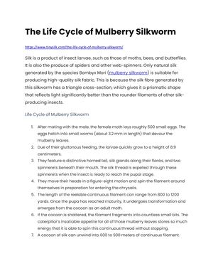The Life Cycle Of Mulberry Silkworm