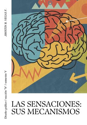 Las Sensaciones Sus Mecanismos
