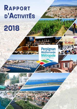 Rapport d'activité 2018