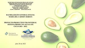 Proyecto Sistema Producto Aguacate