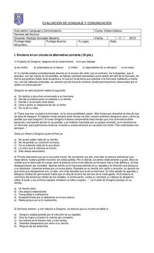 Pruebademetamorfosis8 140316223112 Phpapp02