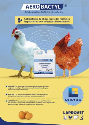 projet sur anti-biotique