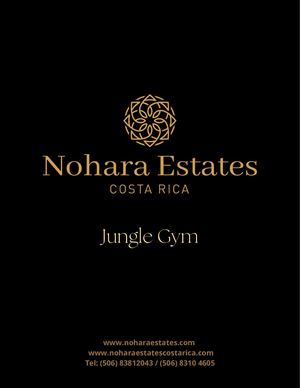 Jungle Gym Proposal 2022