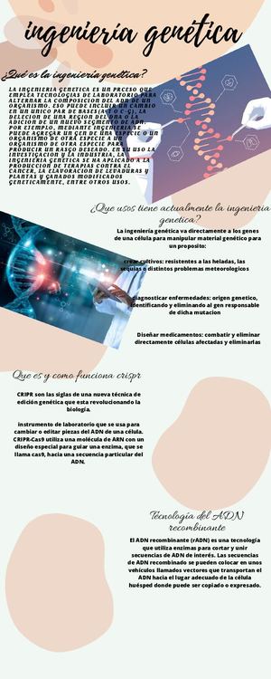 Ingeniería Genética